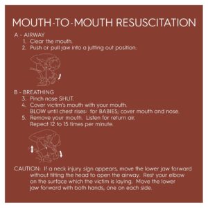 91792 Mouth to Mouth Resuscitation Sign - Hotel Brand Signs